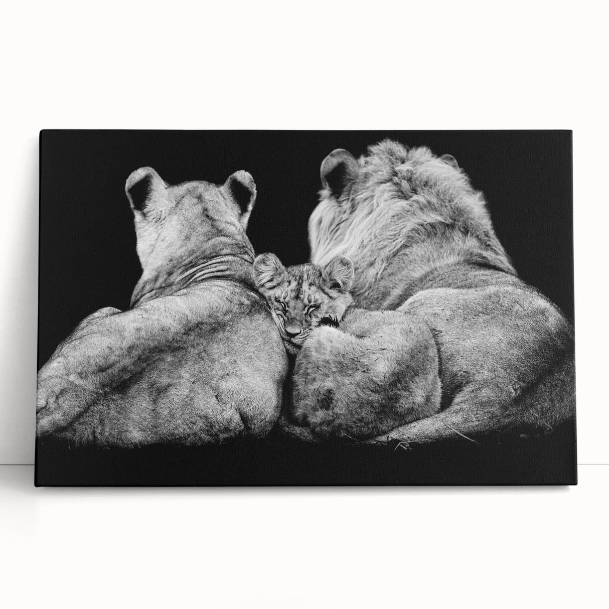 Vibrant stretched canvas wall art featuring a majestic lion design, showcasing rich golden tones and intricate detailing, perfect for wildlife enthusiasts' decor.