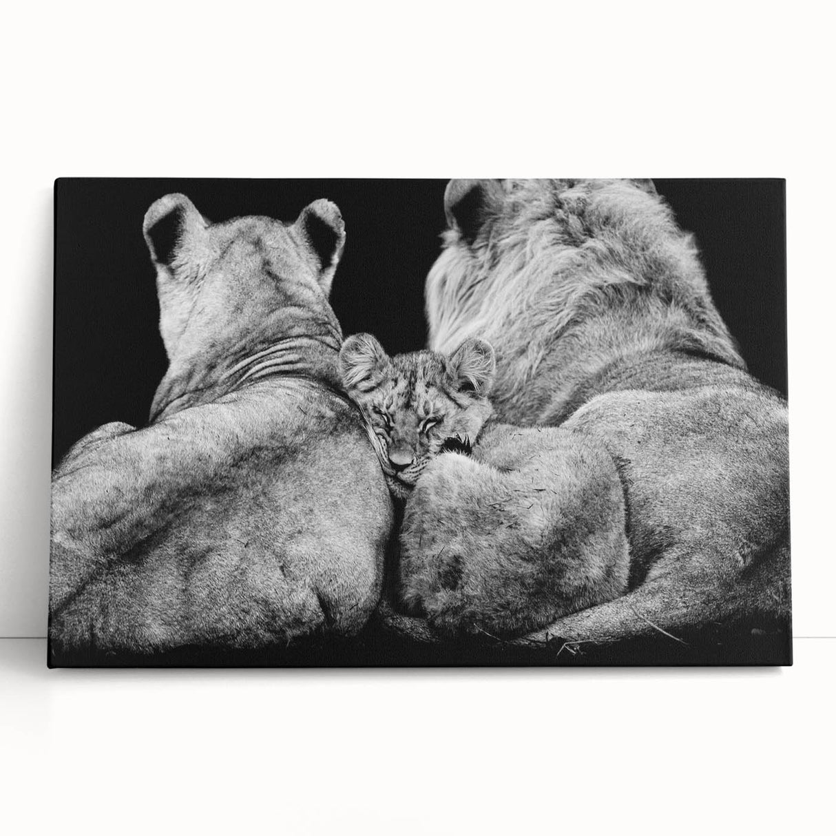 Stretched canvas wall art featuring a striking lion design, showcasing vibrant colors and intricate details, perfect for wildlife enthusiasts and home decor.