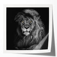 Vibrant wall art showcasing a majestic lion design, featuring rich golden hues and intricate details, perfect for animal lovers and home decor enthusiasts.