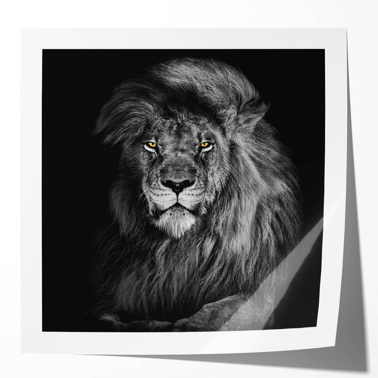 Vibrant wall art showcasing a majestic lion design, featuring rich golden hues and intricate details, perfect for animal lovers and home decor enthusiasts.