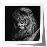 Vibrant wall art showcasing a majestic lion design, featuring rich golden hues and intricate details, perfect for animal lovers and home decor enthusiasts.