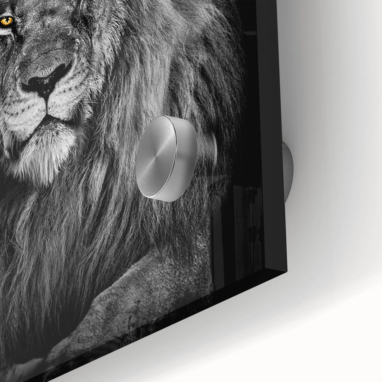 Close-up of a stunning acrylic glass wall art piece featuring a majestic lion design, showcasing intricate details and vibrant colors, perfect for animal lovers and home decor enthusiasts.