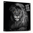 Acrylic wall art display featuring a striking lion design in a side view, showcasing vivid colors and intricate details, ideal for animal lovers and home decor enthusiasts.