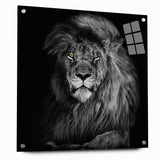 Acrylic wall art display featuring a striking lion design in a side view, showcasing vivid colors and intricate details, ideal for animal lovers and home decor enthusiasts.