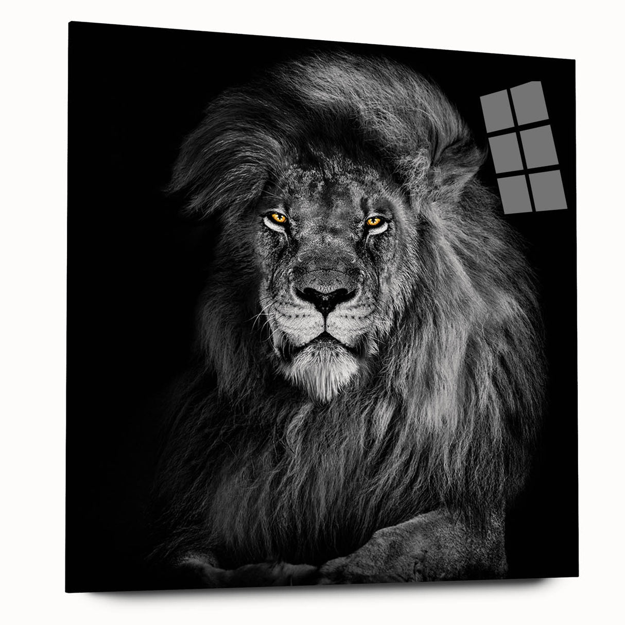 Acrylic glass wall art featuring a striking lion design from the 'Animals - A Wild Life' collection, showcasing vibrant colors and intricate details, perfect for animal lovers and home decor enthusiasts.