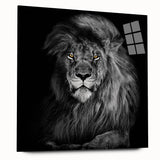 Acrylic glass wall art featuring a striking lion design from the 'Animals - A Wild Life' collection, showcasing vibrant colors and intricate details, perfect for animal lovers and home decor enthusiasts.