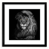 Framed wall art collection showcasing a striking lion design, featuring a black mat and modern frame, ideal for enhancing home decor with a wildlife theme.