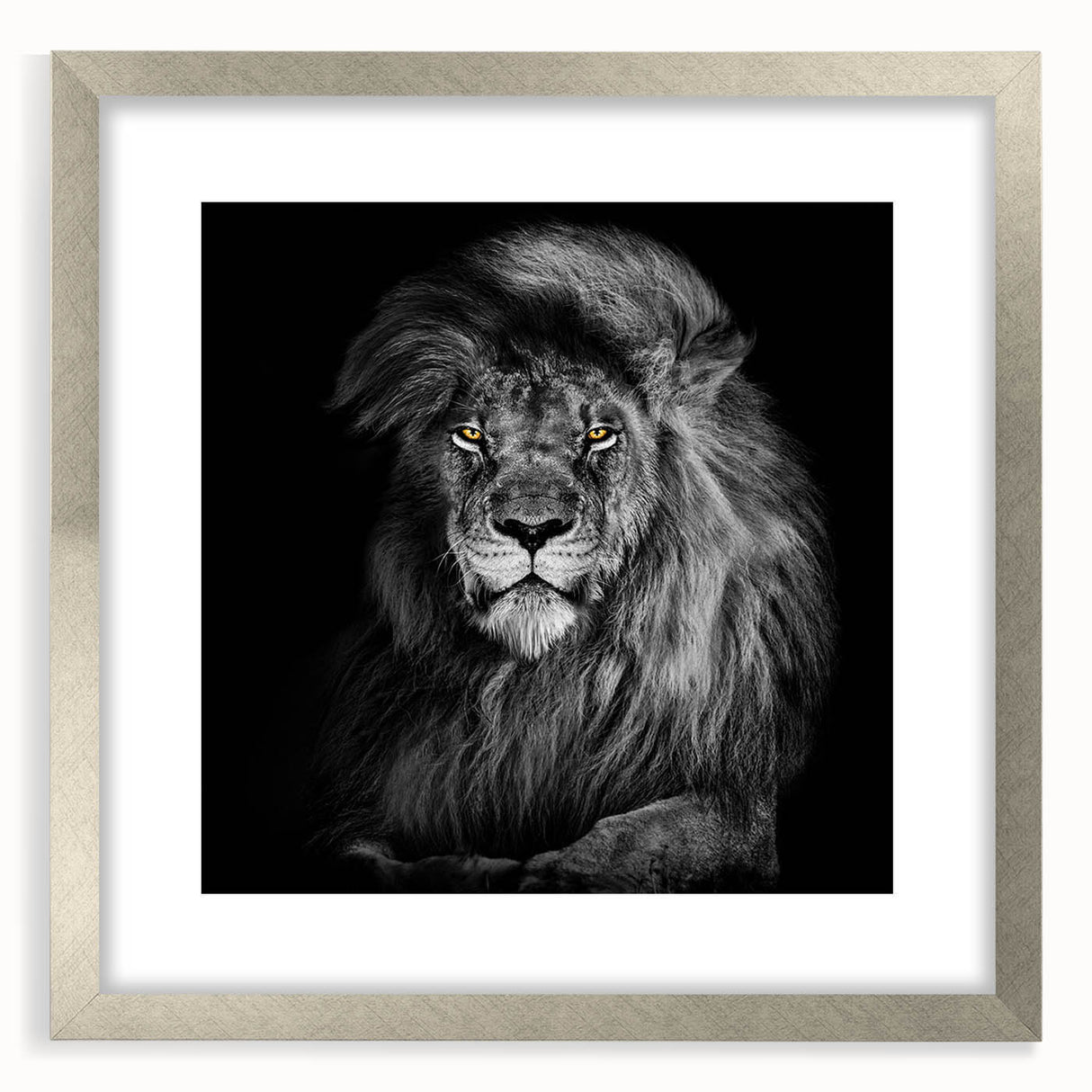 Framed wall art collection showcasing a majestic lion design in silver tones, perfect for wildlife enthusiasts, enhancing home decor with a touch of nature.