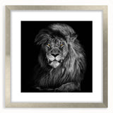 Framed wall art collection showcasing a majestic lion design in silver tones, perfect for wildlife enthusiasts, enhancing home decor with a touch of nature.