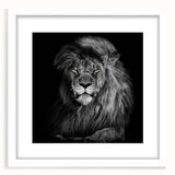 Framed wall art collection featuring a striking lion design in a white mat, showcasing intricate details and vibrant colors, perfect for animal lovers and home decor enthusiasts.