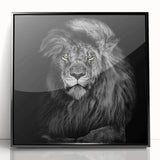 Framed wall art showcasing a majestic lion design in vibrant colors, set against a sleek black background, perfect for animal lovers and home decor enthusiasts.