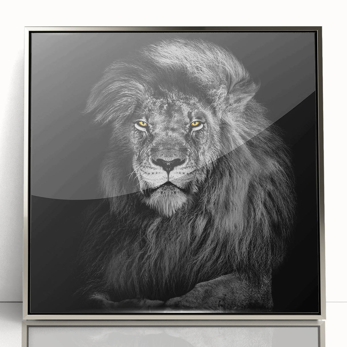 Framed acrylic wall art featuring a striking silver-front lion design, showcasing detailed textures and vibrant colors, perfect for wildlife enthusiasts' decor.