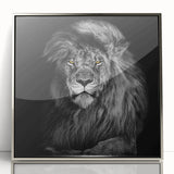 Framed acrylic wall art featuring a striking silver-front lion design, showcasing detailed textures and vibrant colors, perfect for wildlife enthusiasts' decor.