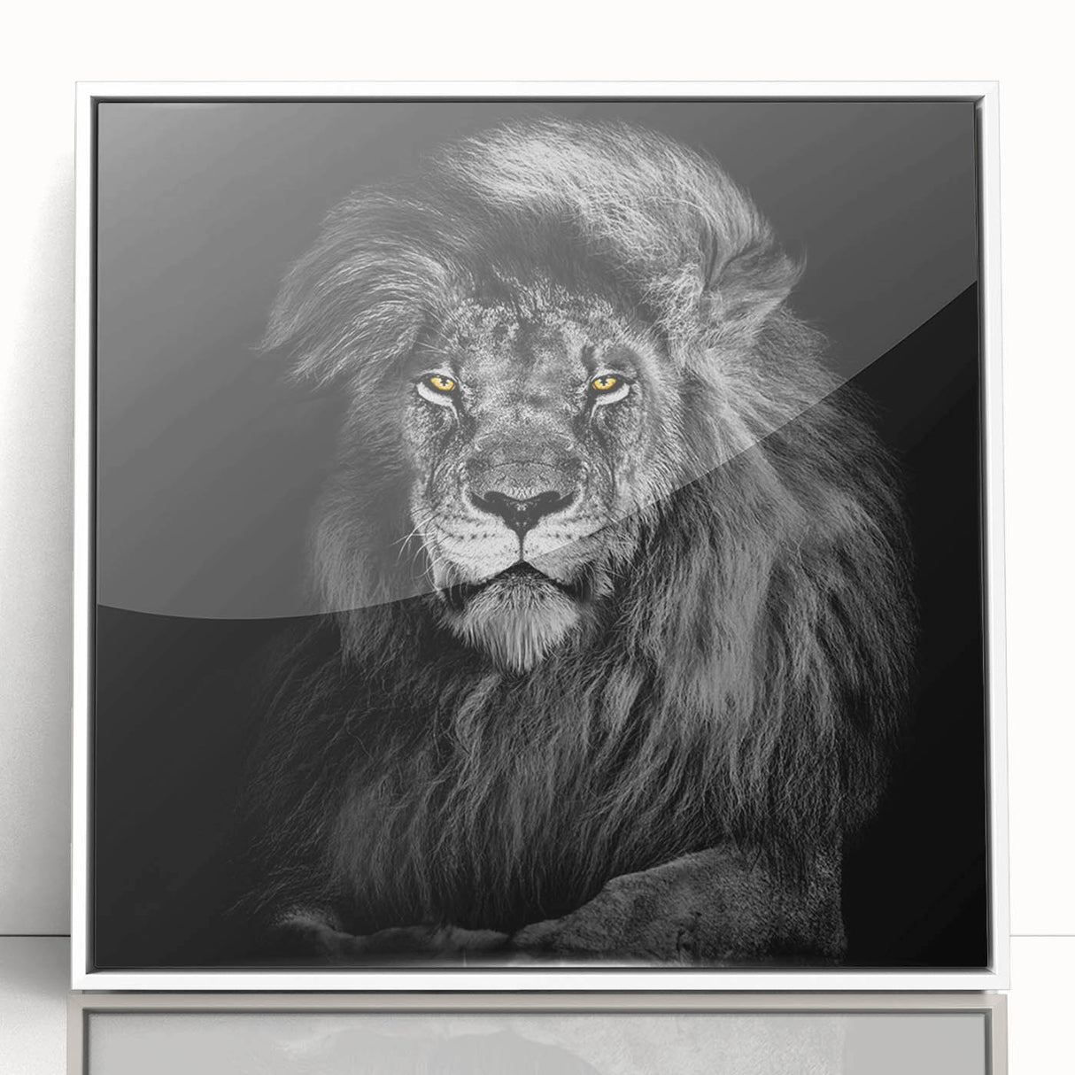 Framed acrylic wall art featuring a majestic lion design in a white frame, showcasing vibrant colors and intricate details, perfect for wildlife enthusiasts.