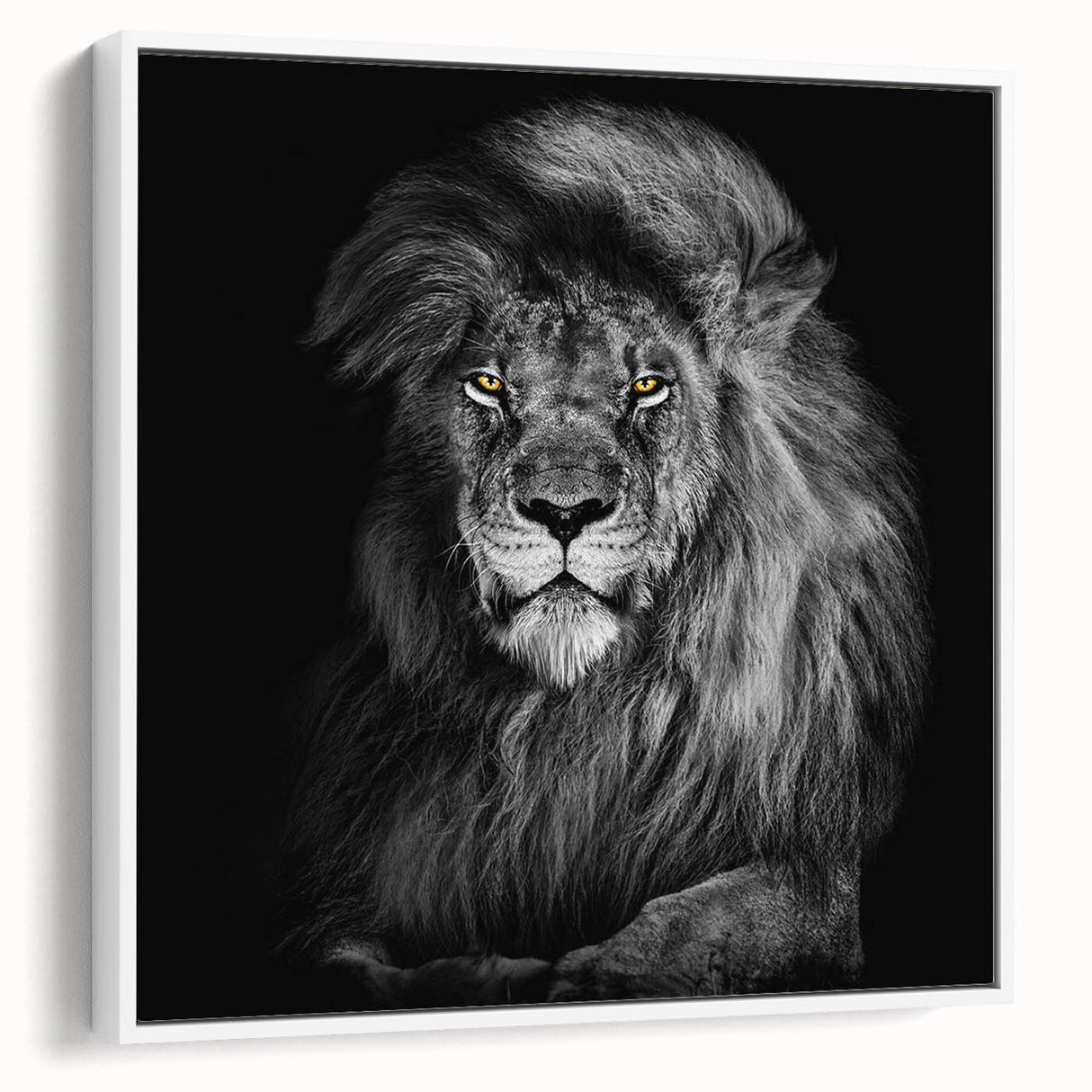 Framed canvas wall art featuring a majestic lion design in a minimalist style, set against a white background, perfect for wildlife enthusiasts and modern decor.