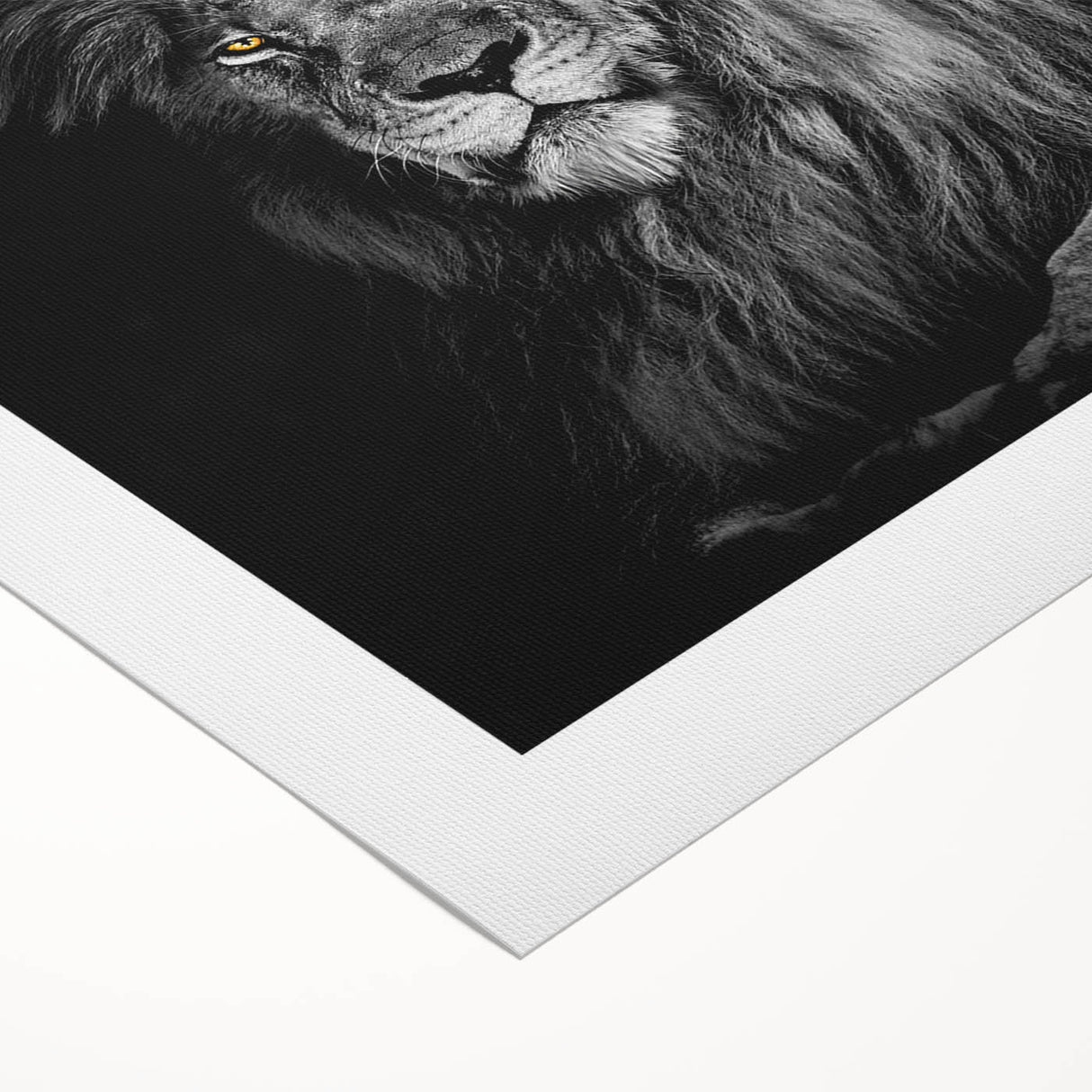 Stylish rolled canvas artwork showcasing a majestic lion design, vibrant colors, and intricate details, perfect for enhancing home decor with a wild theme.