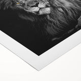 Stylish rolled canvas artwork showcasing a majestic lion design, vibrant colors, and intricate details, perfect for enhancing home decor with a wild theme.
