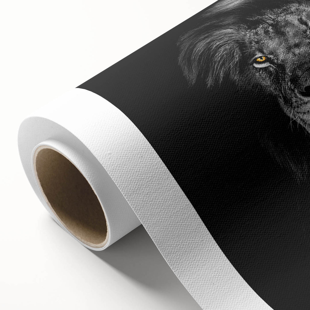 Vibrant rolled canvas featuring a striking lion wall art design, showcasing rich colors and intricate details, perfect for wildlife-themed decor.