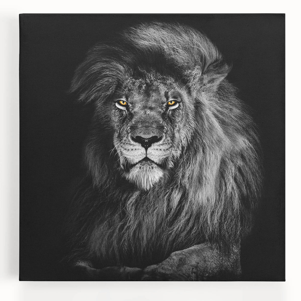 Front view of a majestic lion wall art design on stretched canvas, showcasing vibrant colors and detailed textures, perfect for adding a wild touch to home decor.