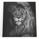 Stretched canvas wall art featuring a majestic lion design, showcasing vibrant colors and intricate details, perfect for adding a wild, nature-inspired touch to any decor.