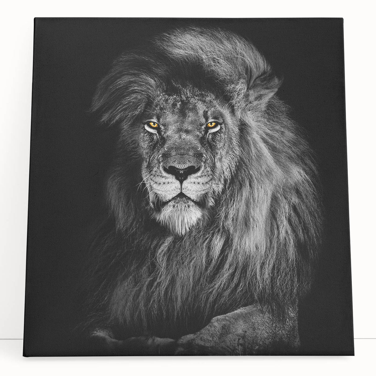 Stretched canvas wall art featuring a striking lion design, showcasing vibrant colors and intricate details, perfect for wildlife enthusiasts and home decor.