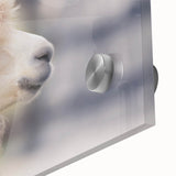 Close-up of a vibrant acrylic wall art piece showcasing a detailed illustration of a llama and an alpaca, featuring rich colors and textures, perfect for animal lovers and home decor enthusiasts.