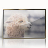 Framed wall art featuring a front view of a llama and alpaca design, showcasing vibrant colors and intricate details, perfect for animal lovers and home decor enthusiasts.