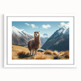 Llama and alpaca-themed wall art collection framed in white, showcasing vibrant wildlife illustrations ideal for modern home decor. Perfect for animal lovers.