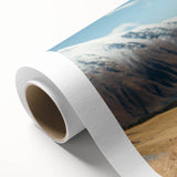 Llama and alpaca themed wall art canvas collection showcasing vibrant colors and intricate designs, ideal for animal lovers and home decor enthusiasts.