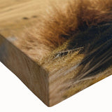 Close-up of a stretched canvas wall art featuring a vibrant illustration of a llama and alpaca in a wild life setting, showcasing detailed textures and colors. Perfect for animal lovers and unique decor enthusiasts.