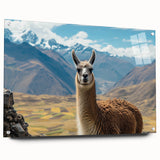 Acrylic glass wall art collection featuring a side view of a whimsical llama and alpaca design, perfect for animal lovers' home decor.