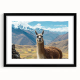 Framed wall art collection featuring a detailed illustration of a llama and alpaca in a natural setting, with a sleek black mat, ideal for animal lovers' decor.