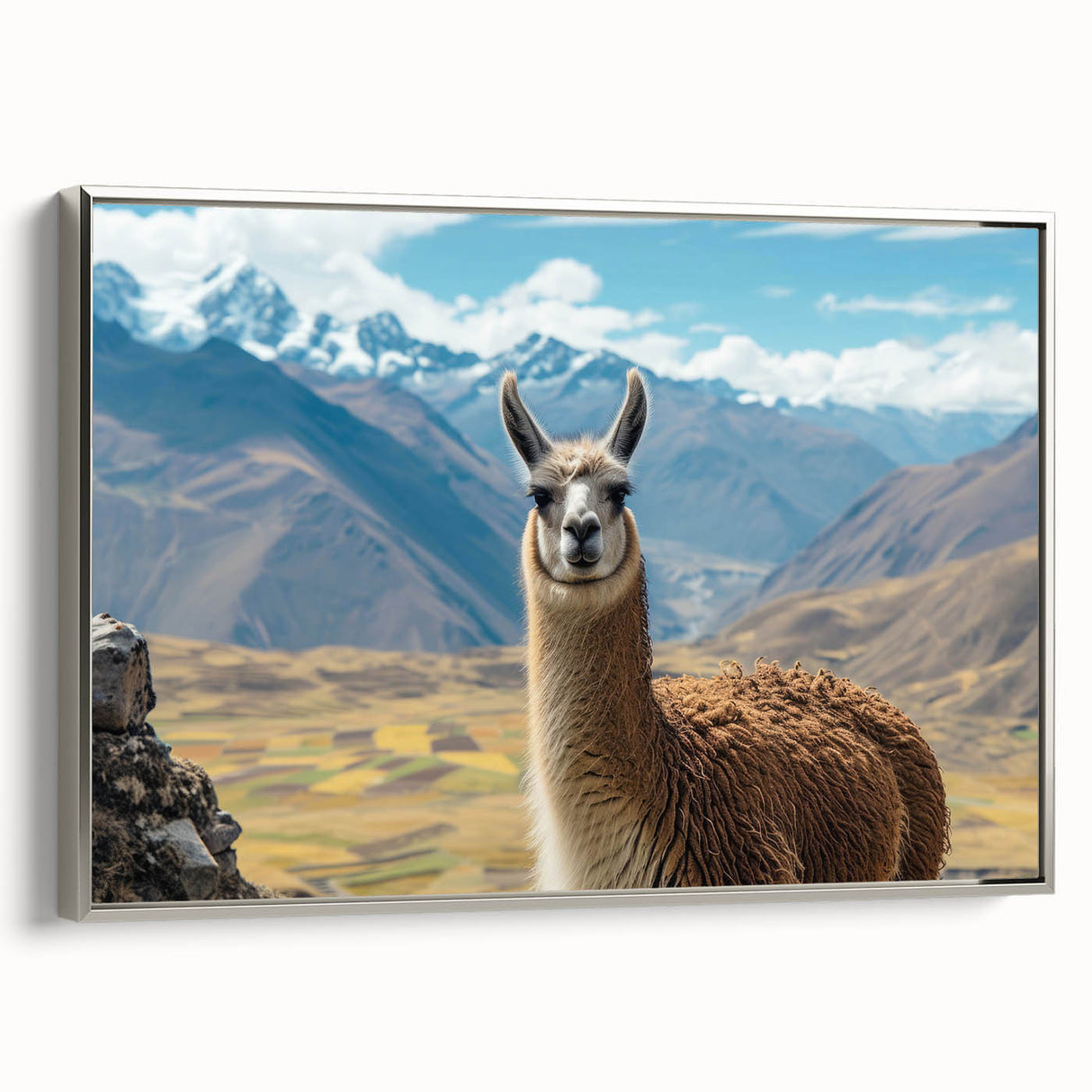 Framed wall art showcasing a stunning side view of a llama and alpaca design, featuring a silver frame and vibrant colors, perfect for animal lovers' decor.