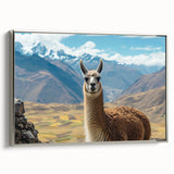 Framed wall art showcasing a stunning side view of a llama and alpaca design, featuring a silver frame and vibrant colors, perfect for animal lovers' decor.