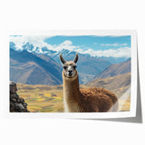 Llama and alpaca wall art print showcasing vibrant wildlife designs on a rolled canvas, perfect for animal-themed decor. Ideal for nature lovers and collectors.