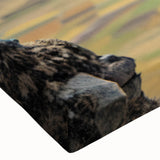 Close-up view of a stretched canvas wall art featuring a llama and alpaca design, showcasing vibrant colors and intricate details, perfect for animal lovers' decor.