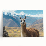 Colorful stretched canvas wall art featuring a whimsical llama and alpaca design, showcasing vibrant colors and playful details, perfect for animal lovers' decor.