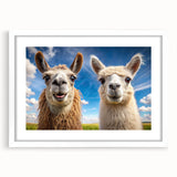 Framed wall art collection showcasing vibrant llama and alpaca designs on a white background, perfect for animal lovers and home decor enthusiasts.