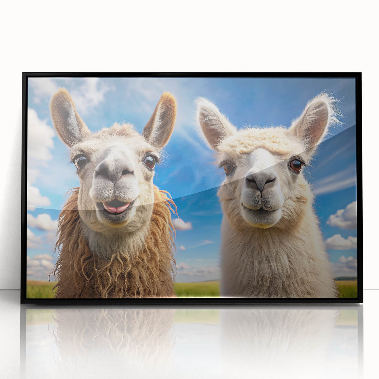 Framed wall art featuring a vibrant llama and alpaca design, showcasing intricate details in a modern black frame, perfect for animal-themed decor in any space.