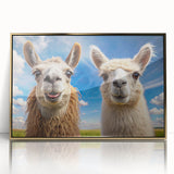 Framed wall art featuring a vibrant illustration of a llama and an alpaca against a gold-accented background, perfect for animal lovers and home decor.