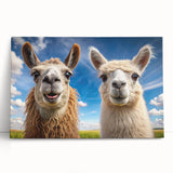Llama and alpaca-themed wall art collection on stretched canvas, showcasing vibrant colors and playful designs, perfect for animal lovers and home decor enthusiasts.