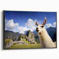 Framed canvas wall art featuring a side view of a llama and alpaca design, showcasing vibrant colors and intricate details, perfect for animal lovers and home decor enthusiasts.