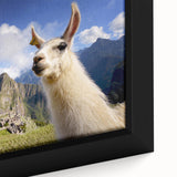Close-up of a framed canvas wall art featuring a detailed illustration of a llama and an alpaca, showcasing vibrant colors and textures, ideal for animal lovers.
