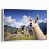 Framed wall art depicting a side view of a llama and an alpaca in a whimsical design, featuring soft colors and intricate details, perfect for animal lovers' decor.