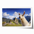 Vibrant wall art print featuring a whimsical design of llamas and alpacas in a colorful landscape, ideal for adding a playful touch to home decor.