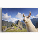 Vibrant wall art featuring a close-up of a llama and alpaca design on stretched canvas, showcasing intricate details and rich colors, perfect for animal lovers.