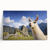 Colorful wall art featuring a whimsical design of a llama and an alpaca, printed on stretched canvas, ideal for animal lovers and home decor enthusiasts.