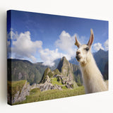 Llama and alpaca wall art design on stretched canvas, showcasing vibrant colors and intricate details, ideal for animal lovers and modern decor.