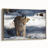 Framed canvas wall art showcasing a majestic lynx in a natural setting, highlighted by gold accents to enhance its beauty, perfect for wildlife enthusiasts.
