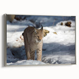 Lynx wall art design framed in silver, showcasing a detailed illustration of a wild lynx against a neutral backdrop, perfect for home decor enthusiasts.